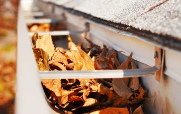 Great Limber gutter cleaning companies