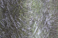 Great Limber fibreglass roof work